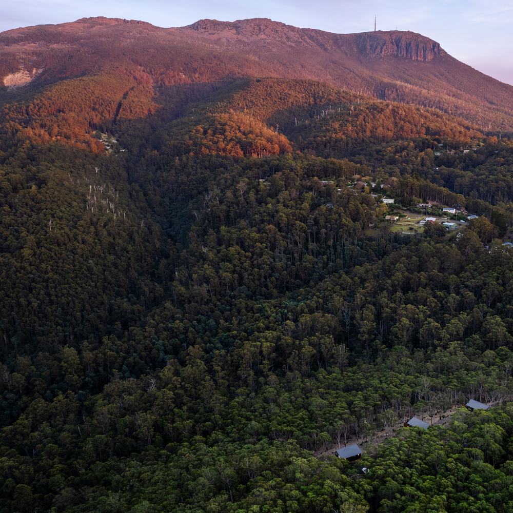 Aerial view of the Breath cabins nestled in the forest below kunanyi/Mount Wellington.