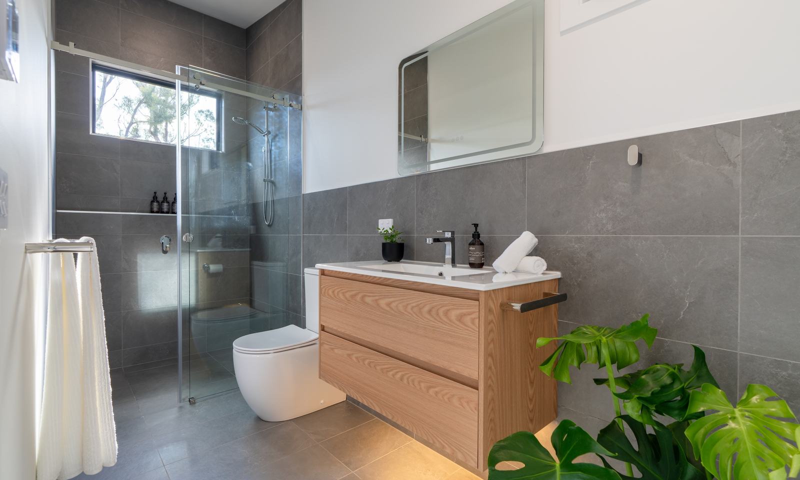 Ironbark bathroom large glass shower indoor plant and sink vanity