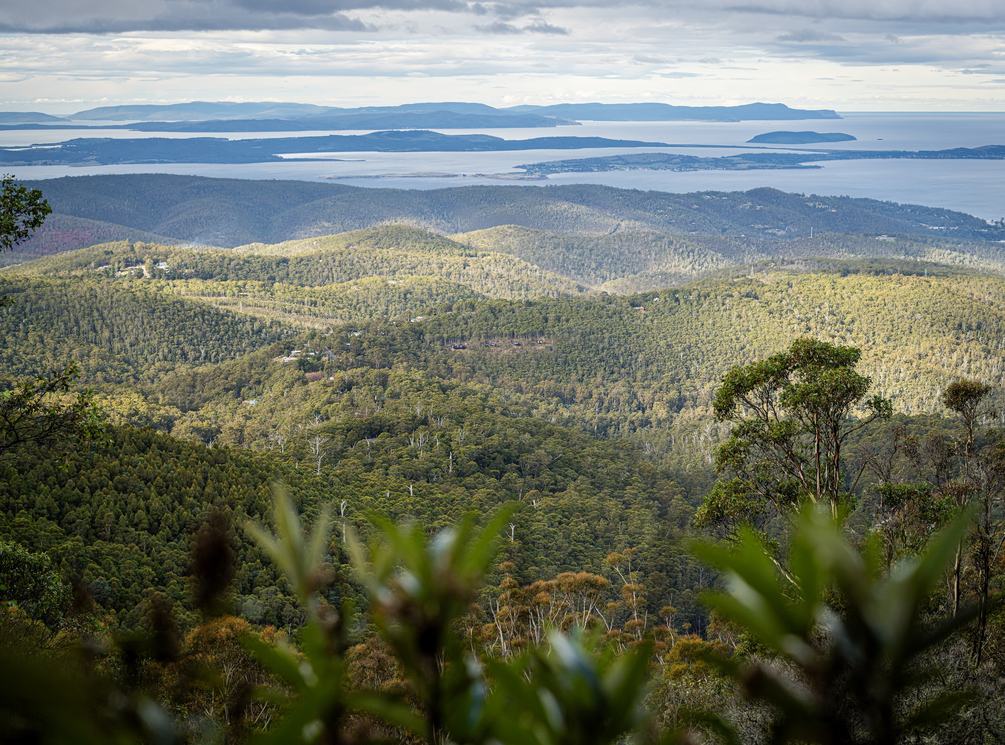 Hillside cabins BREATH in forest view from mountain