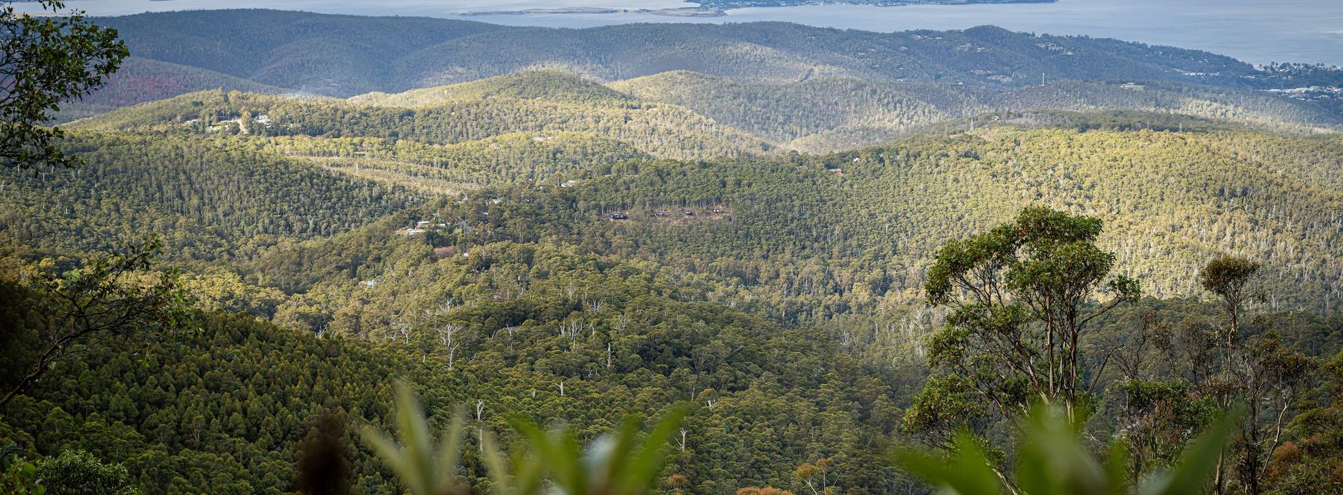 Hillside cabins BREATH in forest view from mountain