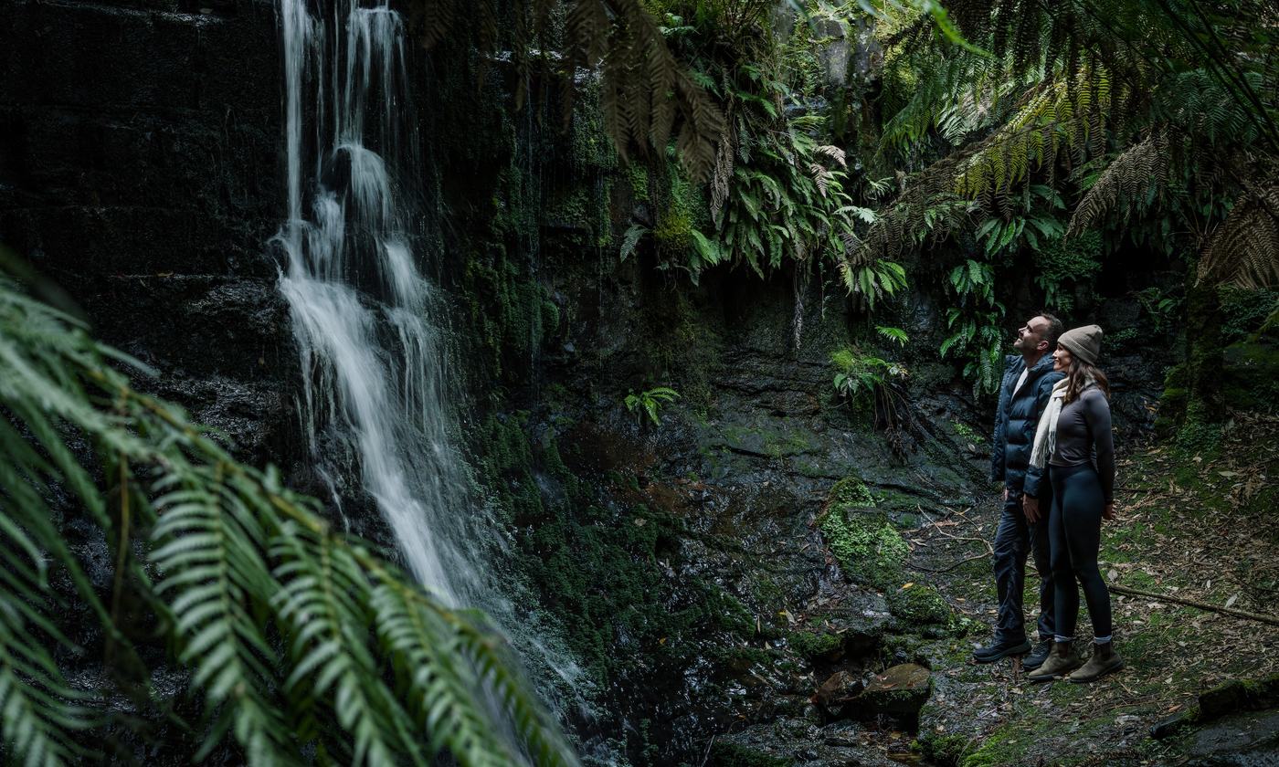 People standing by waterfall and ferns in tasmania