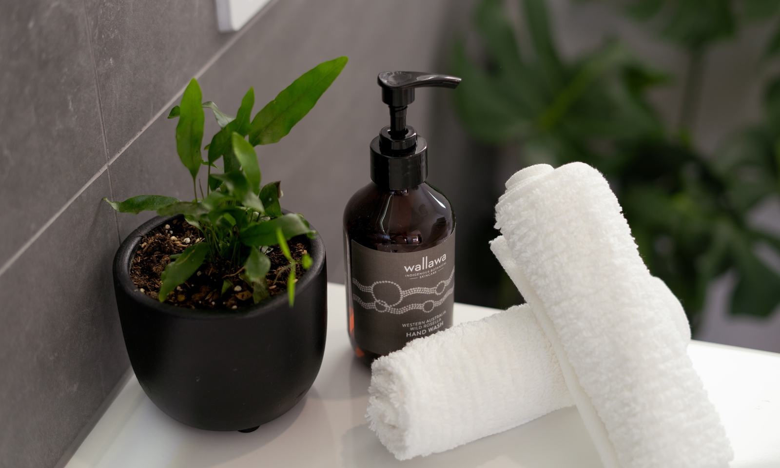 Towels and hand soap on bathroom sink with small pot plant