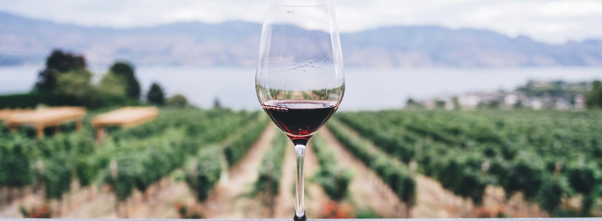 Red wine in glass overlooking winery